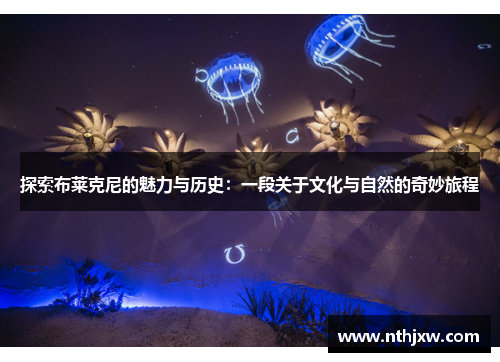 探索布莱克尼的魅力与历史：一段关于文化与自然的奇妙旅程