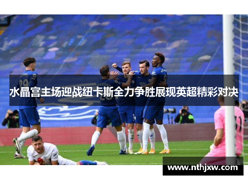 水晶宫主场迎战纽卡斯全力争胜展现英超精彩对决